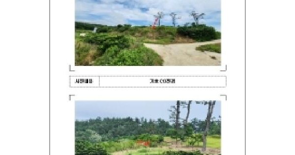 전라남도 신안군 지도읍 탄동리 98-1  미지정 경매 물건 이미지