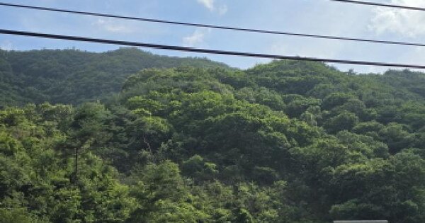 경상북도 성주군 초전면 월곡리 산65-3  미지정 경매 물건 이미지