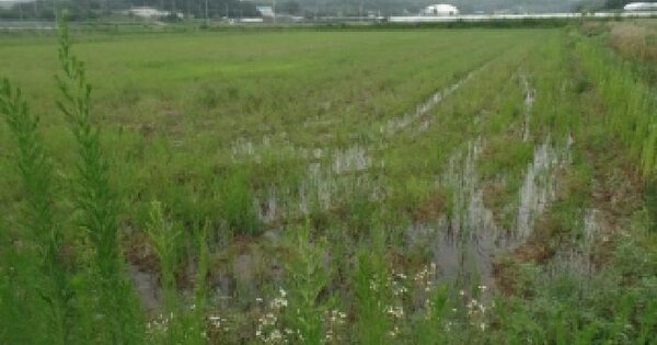 충청남도 논산시 연무읍 죽본리 714-2  미지정 경매 물건 이미지
