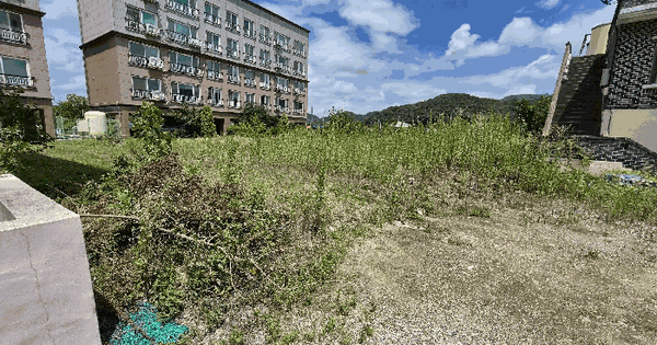 경상남도 함안군 함안면 봉성리 970-8 전 경매 물건 이미지