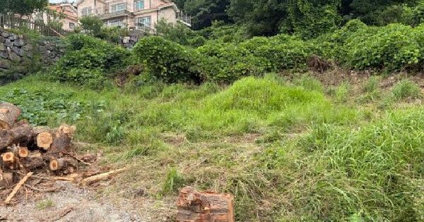 경상남도 거제시 양정동 산86-3  미지정 경매 물건 이미지