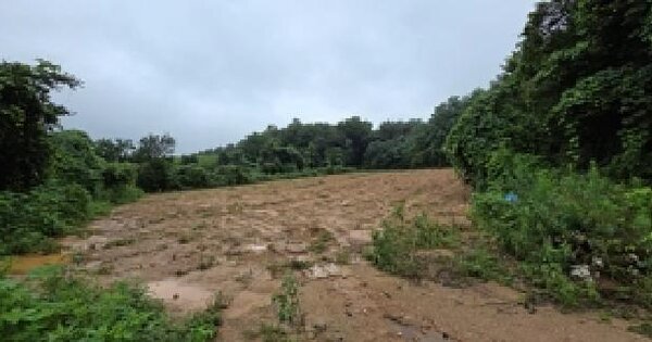 충청남도 예산군 고덕면 호음리 20-24  미지정 경매 물건 이미지