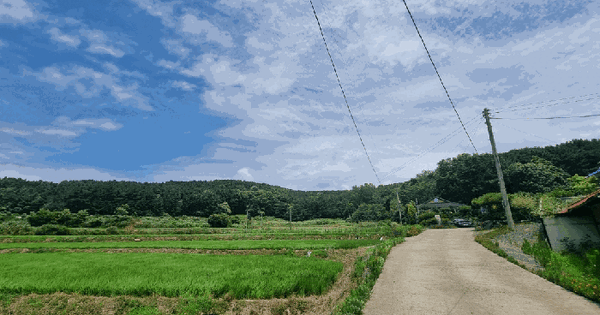 충청남도 보령시 웅천읍 독산리 산72  미지정 경매 물건 이미지