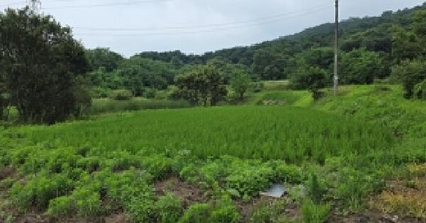 충청남도 홍성군 홍동면 원천리 471-1  미지정 경매 물건 이미지