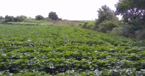 전북특별자치도 김제시 금구면 낙성리 803-1  미지정 경매 물건 이미지