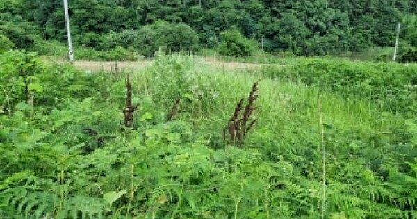 전북특별자치도 순창군 풍산면 죽곡리 174-1  미지정 경매 물건 이미지