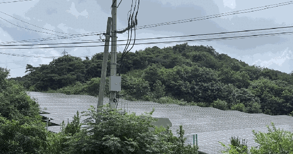 전남광주통합특별시 나주시 왕곡면 송죽리 산78  미지정 경매 물건 이미지