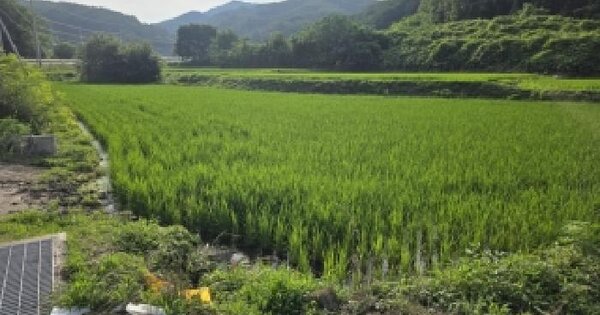경상북도 안동시 도산면 온혜리 1045-2  미지정 경매 물건 이미지