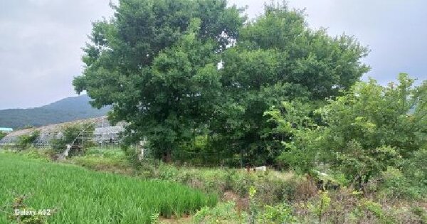 경상남도 거제시 거제면 옥산리 804-3  미지정 경매 물건 이미지