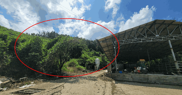 경상남도 창녕군 이방면 거남리 산16-1  미지정 경매 물건 이미지