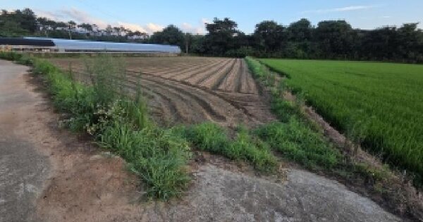 전북특별자치도 고창군 고창읍 주곡리 1240  미지정 경매 물건 이미지