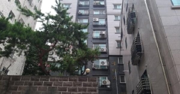서울특별시 금천구 가산동 238-11 예다지  제2층 제201호 미지정 경매 물건 이미지
