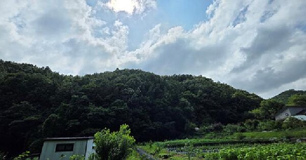 충청남도 예산군 신양면 대덕리 산39-1  미지정 경매 물건 이미지