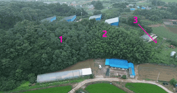 충청남도 보령시 주포면 연지리 501-3  미지정 경매 물건 이미지