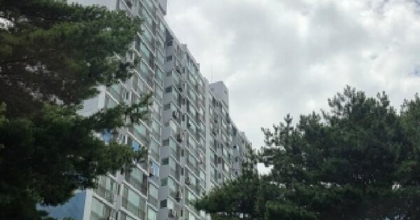 경상북도 안동시 용상동 600 현대아파트 207동 15층1503호 미지정 경매 물건 이미지