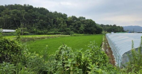 대구광역시 달성군 하빈면 기곡리 124  미지정 경매 물건 이미지