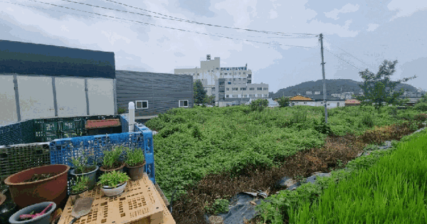 경상남도 사천시 향촌동 334-2  미지정 경매 물건 이미지