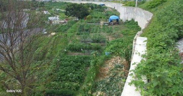 경상남도 거제시 일운면 소동리 371-3  미지정 경매 물건 이미지