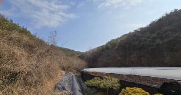 경상북도 영천시 고경면 차당리 산17 임야 경매 물건 이미지