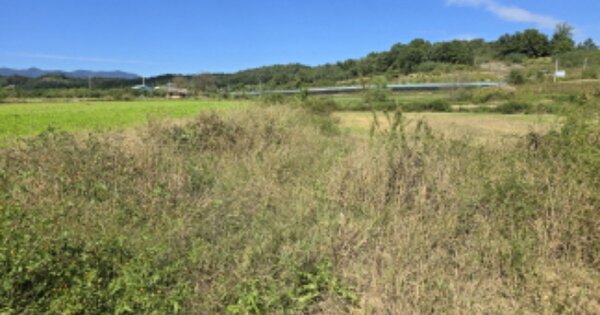 경상북도 영천시 화산면 유성리 152 과수원 경매 물건 이미지