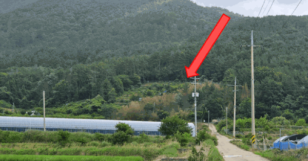 경상남도 거제시 거제면 내간리 432-2  미지정 경매 물건 이미지