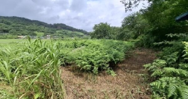 경상남도 하동군 양보면 운암리 398-3  미지정 경매 물건 이미지