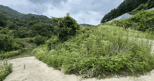 강원특별자치도 화천군 간동면 방천리 1474  미지정 경매 물건 이미지