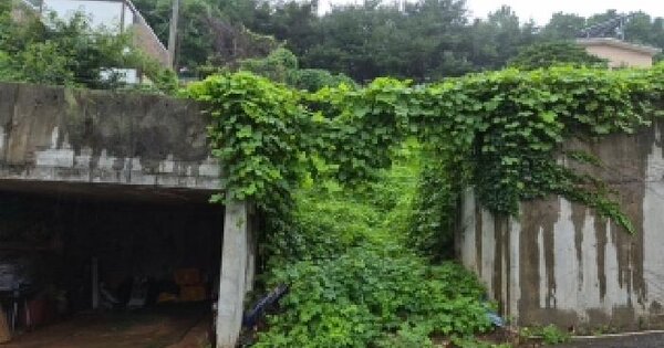 인천광역시 강화군 불은면 두운리 110-46  미지정 경매 물건 이미지