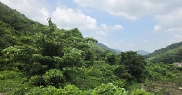 경상남도 함안군 여항면 주동리 581  미지정 경매 물건 이미지