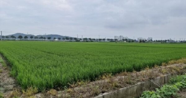 충청남도 서천군 장항읍 화천리 261-2  미지정 경매 물건 이미지