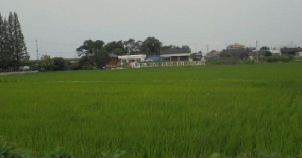 충청남도 부여군 부여읍 군수리 473-3  미지정 경매 물건 이미지