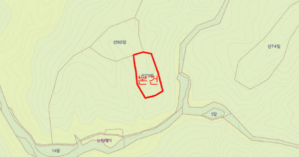 경상북도 울진군 매화면 길곡리 산79  미지정 경매 물건 이미지