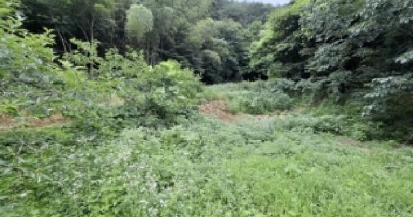 경상남도 산청군 시천면 사리 436  미지정 경매 물건 이미지