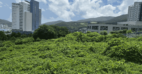 경상남도 거제시 일운면 소동리 152  미지정 경매 물건 이미지