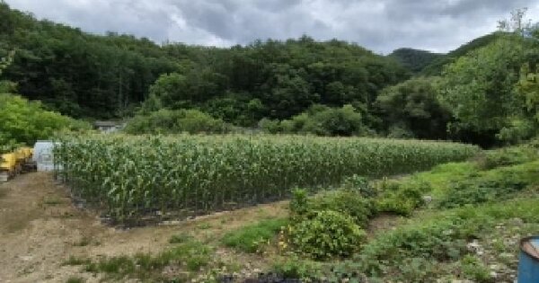 강원특별자치도 횡성군 공근면 부창리 150-12  미지정 경매 물건 이미지