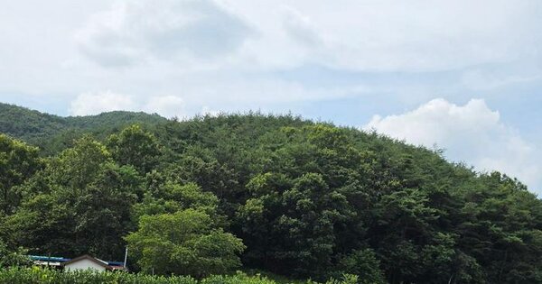 경상남도 의령군 정곡면 오방리 산71-1  미지정 경매 물건 이미지
