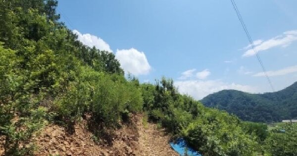 충청북도 영동군 심천면 단전리 산22-5  미지정 경매 물건 이미지