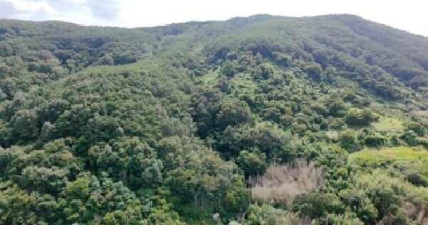 경상남도 합천군 쌍백면 죽전리 산9  미지정 경매 물건 이미지