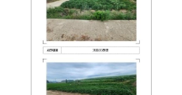 전라남도 신안군 지도읍 봉리 541  미지정 경매 물건 이미지