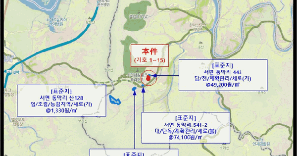 강원특별자치도 홍천군 서면 동막리 산87-1  미지정 경매 물건 이미지