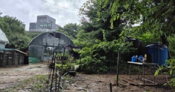 충청남도 천안시 서북구 업성동 514-1  미지정 경매 물건 이미지
