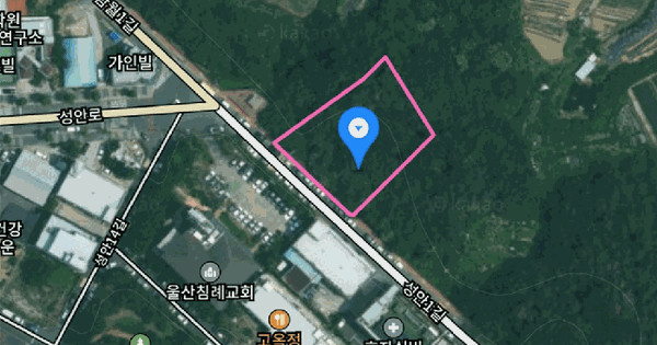 울산광역시 중구 약사동 197-1  미지정 경매 물건 이미지