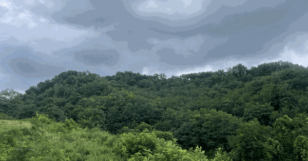 충청북도 청주시 청원구 오창읍 가좌리 산94-13  미지정 경매 물건 이미지