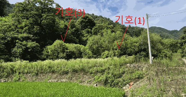 강원특별자치도 양구군 양구읍 월명리 308  미지정 경매 물건 이미지