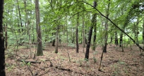 충청남도 천안시 동남구 수신면 장산리 530-3  미지정 경매 물건 이미지