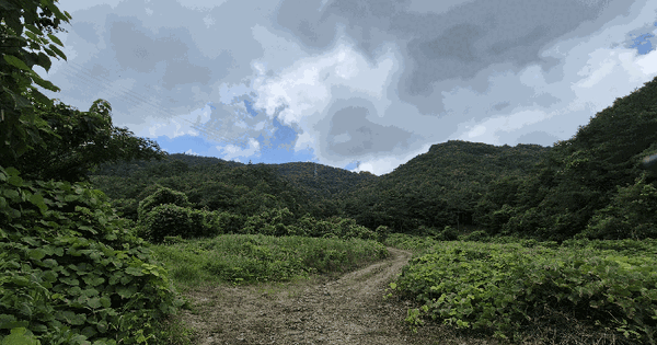전라남도 화순군 도곡면 천암리 산94  미지정 경매 물건 이미지