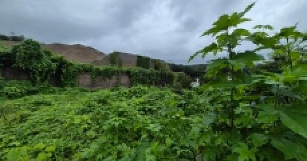 경기도 포천시 일동면 수입리 196  미지정 경매 물건 이미지