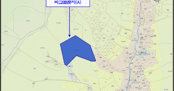경기도 가평군 청평면 고성리 산161-28  미지정 경매 물건 이미지