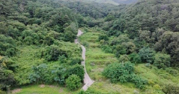 경상남도 합천군 대병면 대지리 438  미지정 경매 물건 이미지