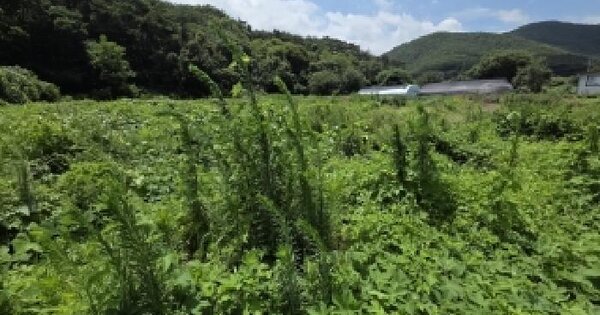 전북특별자치도 부안군 상서면 통정리 680-2  미지정 경매 물건 이미지